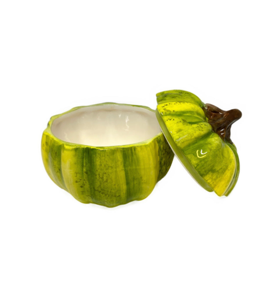 Herfst collectie groene pompoen met deksel