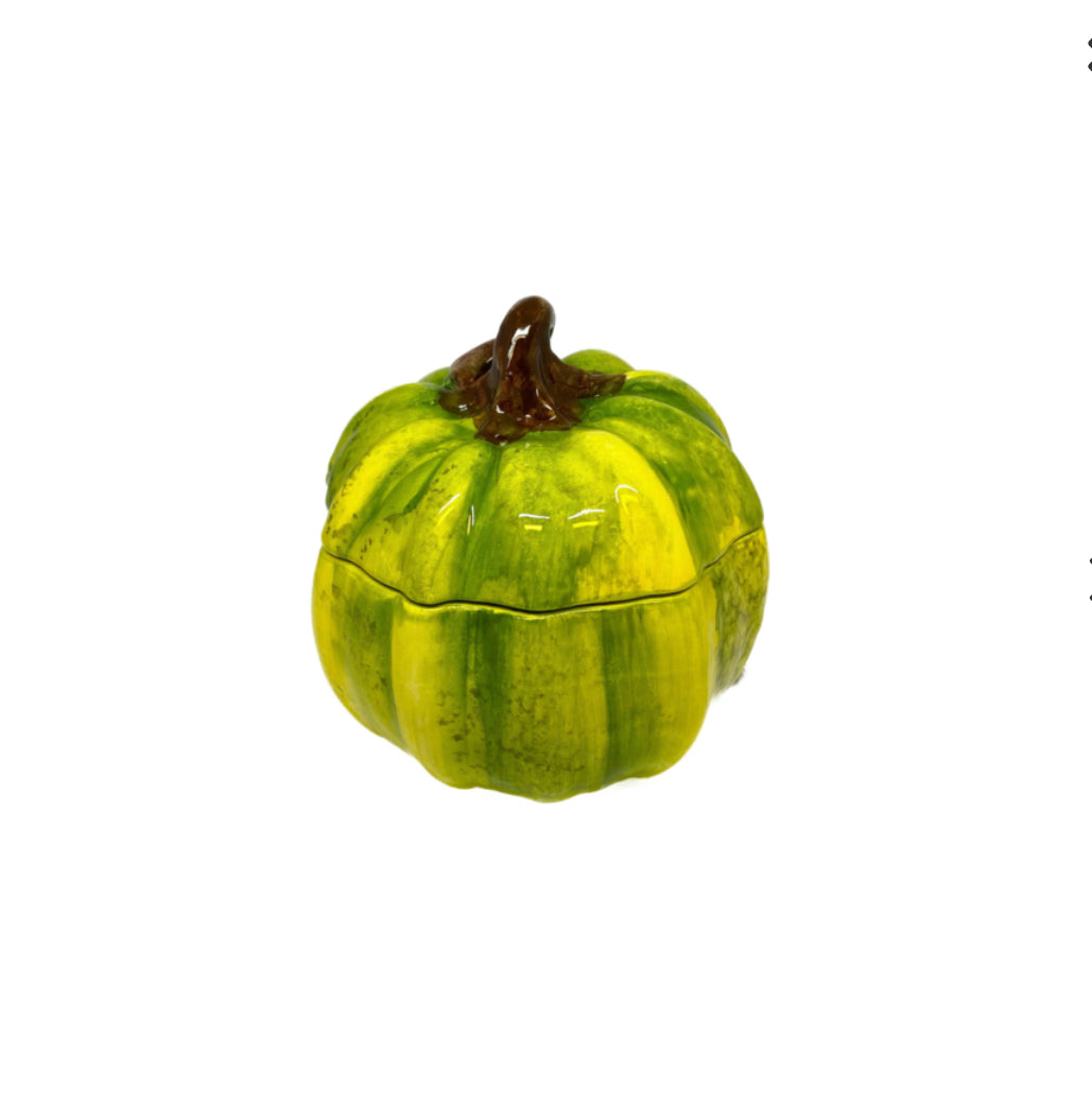Herfst collectie groene pompoen met deksel